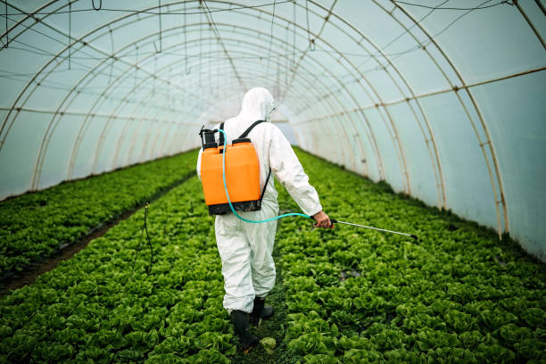Best Mosquito Control Services  in Stratford, CA